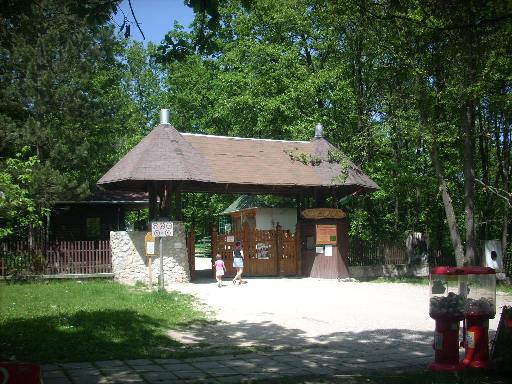 miskolczoo.JPG