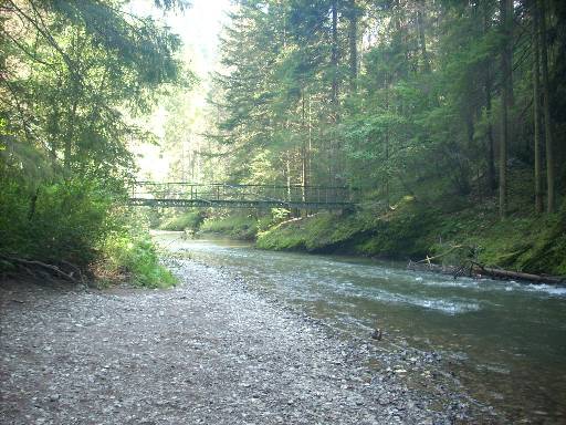 dscn2378.JPG