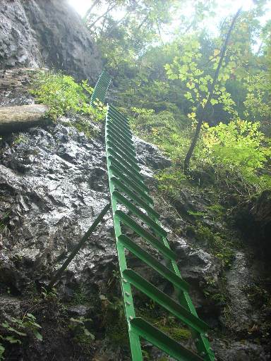 dscn2401.JPG