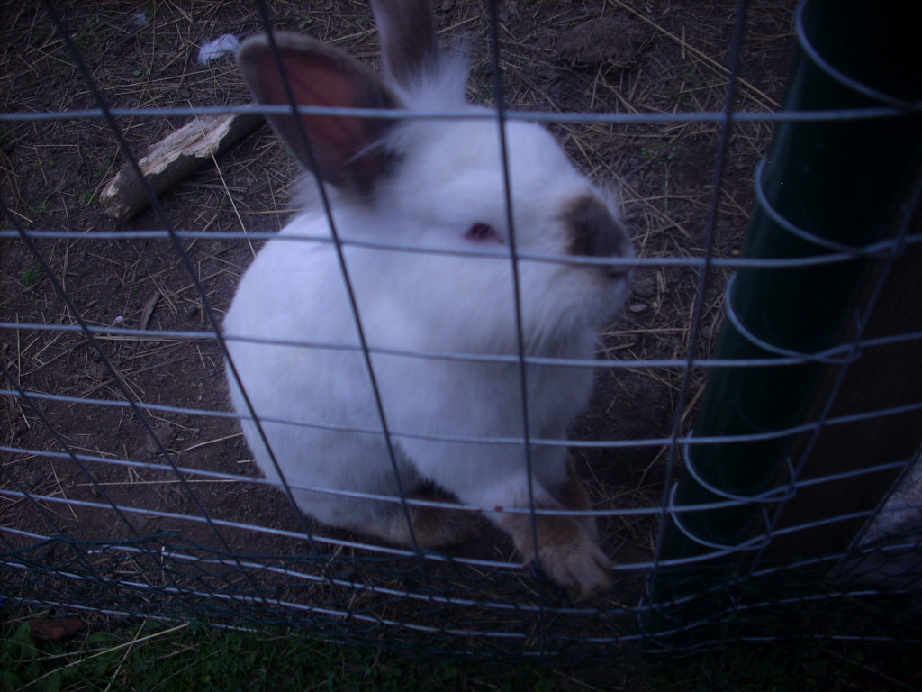 dscn2825.JPG