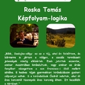 Szerelmes Földrajz - Roska Tamás: Képfolyam logika (2005. november)