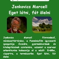 Szerelmes Földrajz - Jankovics Marcell: Eget látni, fát ölelni (2005. október)