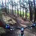 Holnap: Cannock Chase Monkey Trail