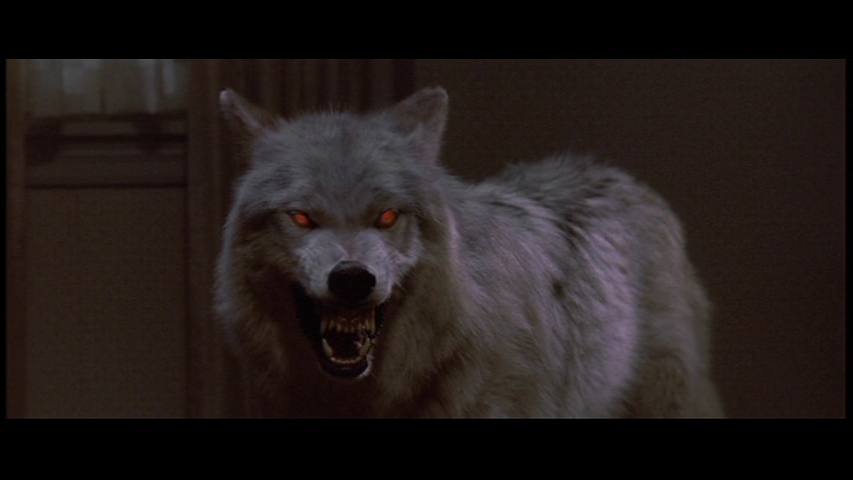 Evil-wolf-wolves-30842737-853-480.jpg