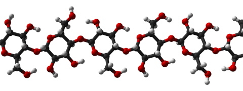 biokemia-celluloz.png