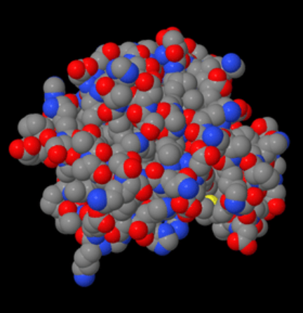 biokemia-hemoglobin.png