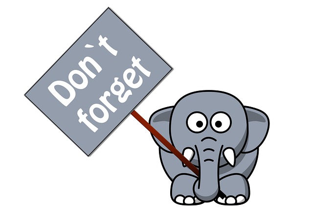elephant-279901_640.jpg
