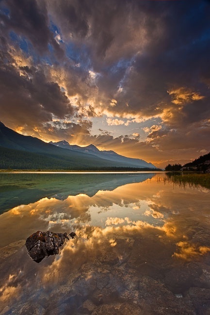 Beauty Creek, Jasper National Park, Alberta, Canada.jpg