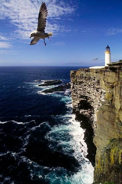 Orkney Cliff & Lighthouse (1).jpg