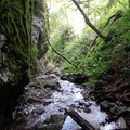 Triglav Nemzeti Park DNY-i terület