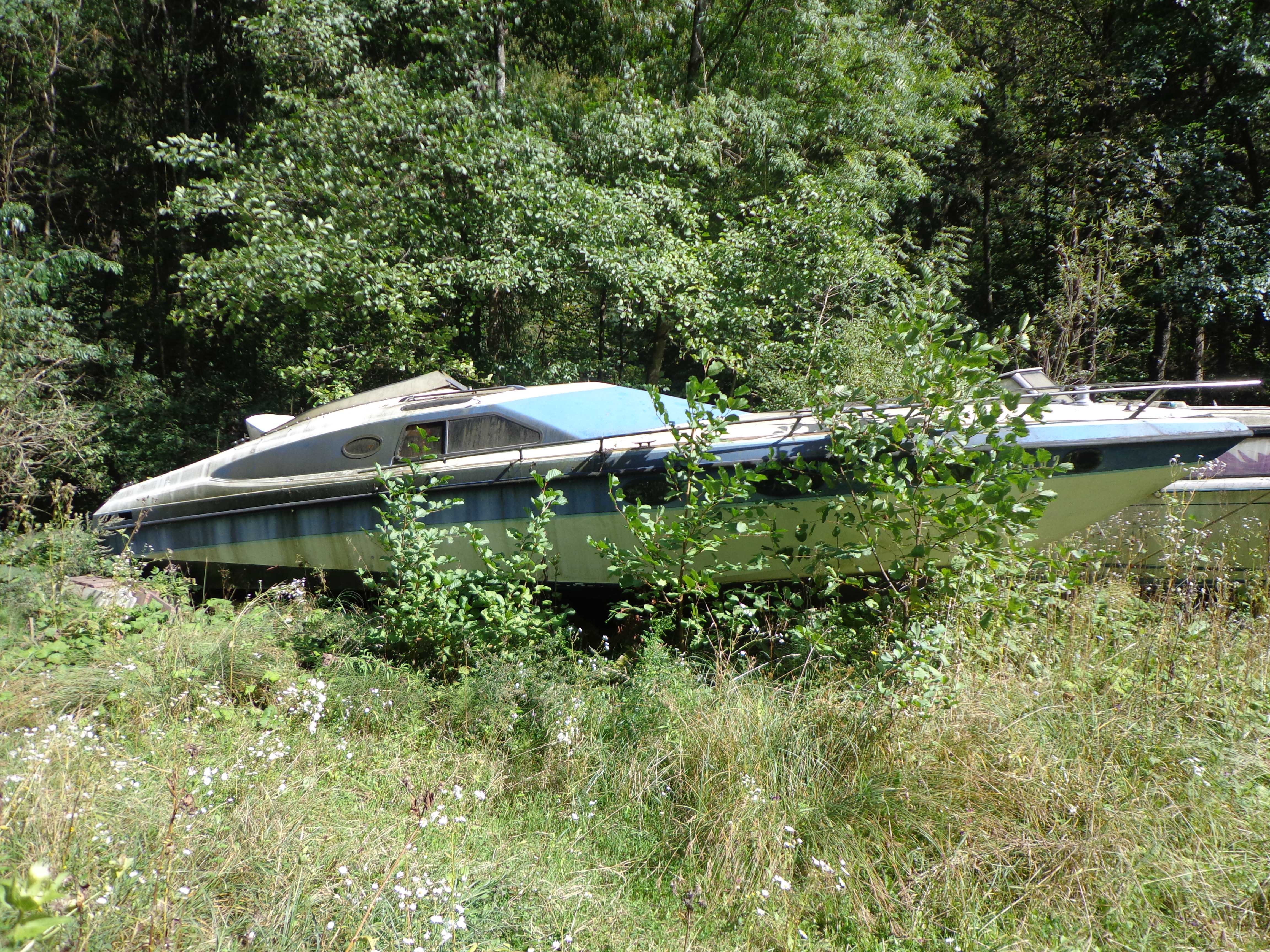 DSC01813.JPG