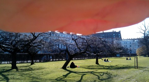 IMAG0355_k.jpg