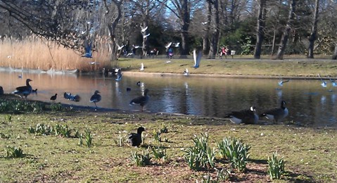 IMAG0359_k.jpg