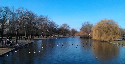 IMAG0363_k.jpg