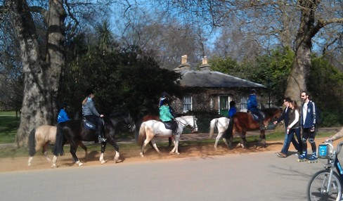 IMAG0511_k.jpg