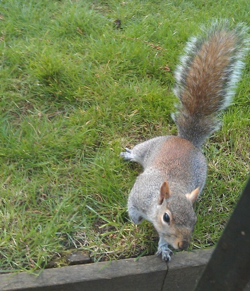 IMAG0524.jpg