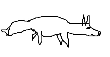 roka.jpg
