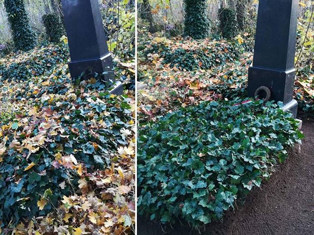 Halottak napjára a gimnázium tanulói rendbe tették a közel 100 kijelölt sírhelyet. Emlékezünk iskolánk volt tanáraira és tanulóira. #ajrg #gimiblog #halottaknapja