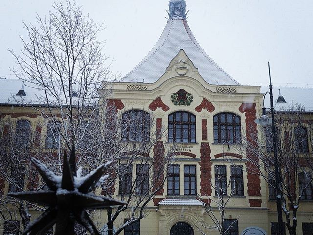 Havas gimi #ajrg #gimiblog #havas #december #fehér #hullahó #nagykőrös #szép