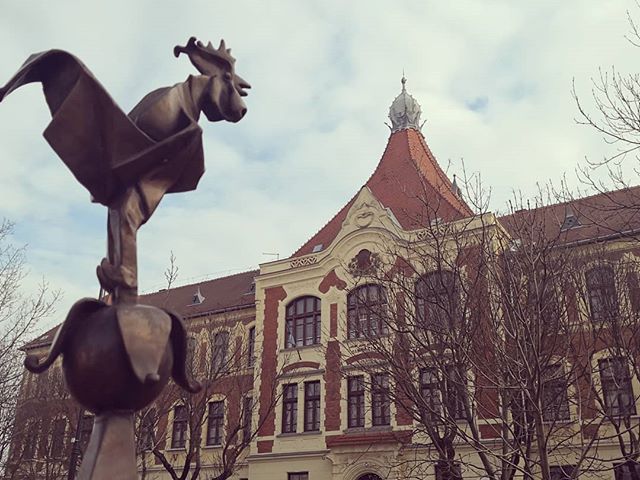 Gimink decemberben #ajrg #nagykőrös #gimi #gimnázium #refkoros #kakas