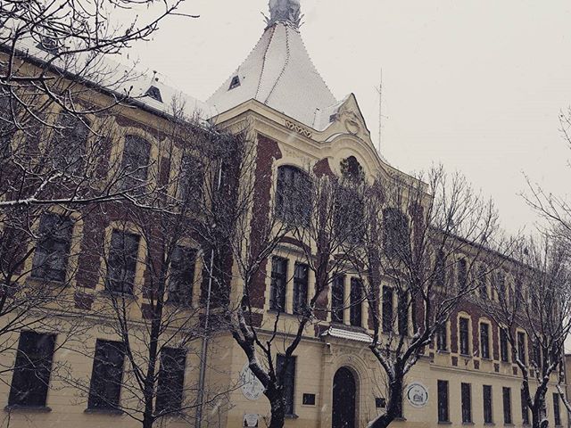 Havas gimi #ajrg #gimiblog #nagykőrös #hó #december #advent