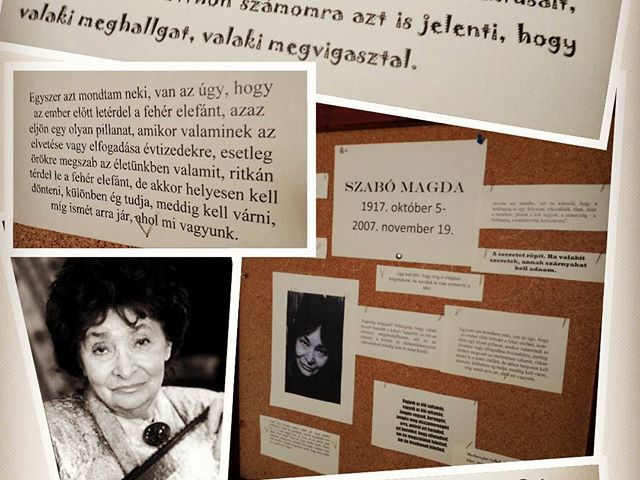 100 éves lenne Szabó Magda írónő. Rá emlékezünk a gimnázium második emeleti faliújságján. #ajrg #gimiblog #szabómagda #faliújság #abigél