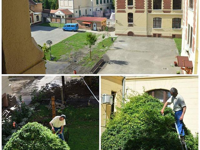 Berci bácsi munkában, avagy szépül a gimi udvara. #ajrg #gimiblog #kulisszákmögött #sulinyáron