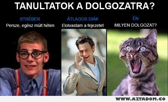doga1.jpg