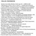 Falusi Facebook