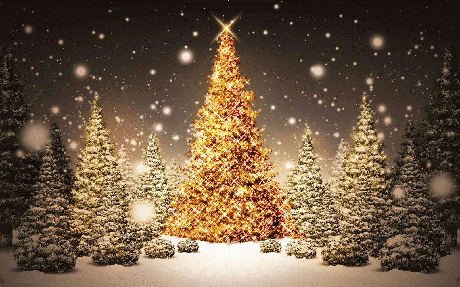 christmas-tree-wallpaper-for-desktop-331.gif