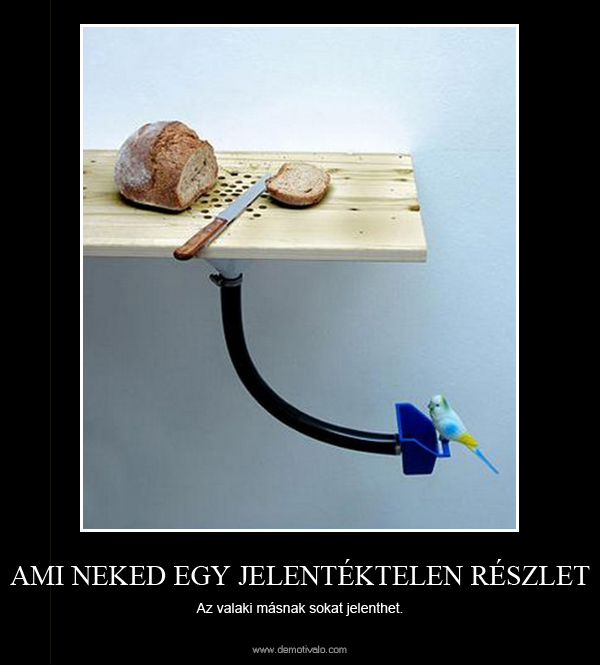 demot_jelentektelen-reszlet.jpg