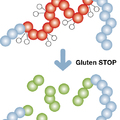Glutén Stop!