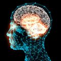 Howard Gardner: Az intelligencia fejlesztéséhez szükséges egy szintetikus elme