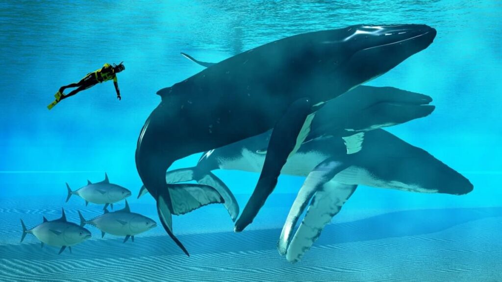 20-de-curiozitati-despre-balene-cele-mai-mari-animale-din-lume-1024x576.jpg