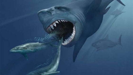 A történelem előtti cápákat egy szupernova irtotta ki
