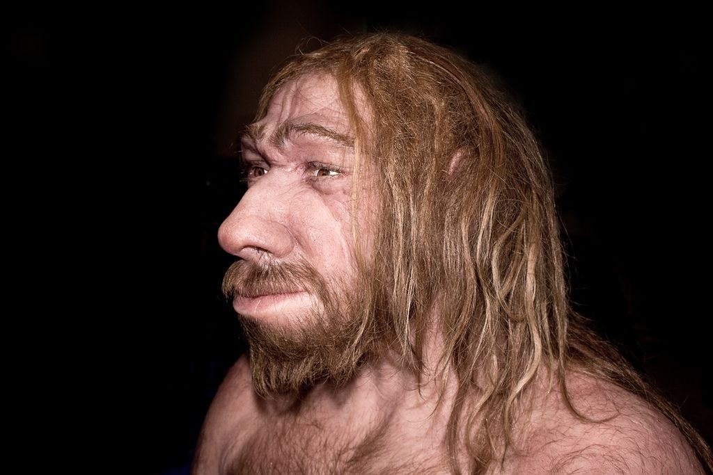 Mit evett a neandervölgyi ember?