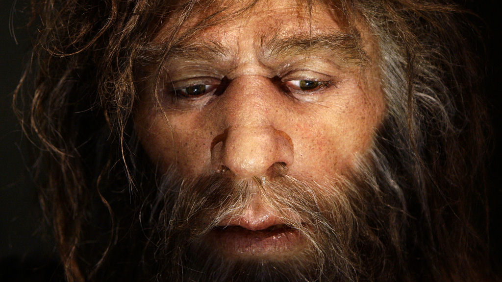 31_neanderthal_r_w.jpg