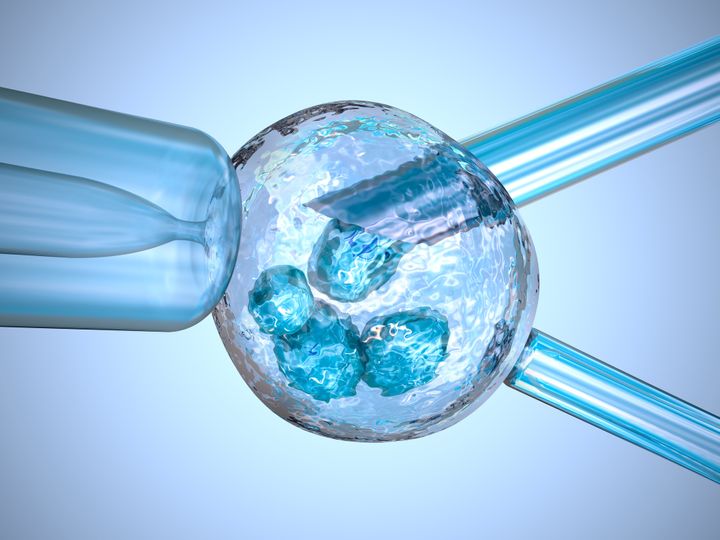 DNS-teszt által kiválasztható a legígéretesebb embrió?