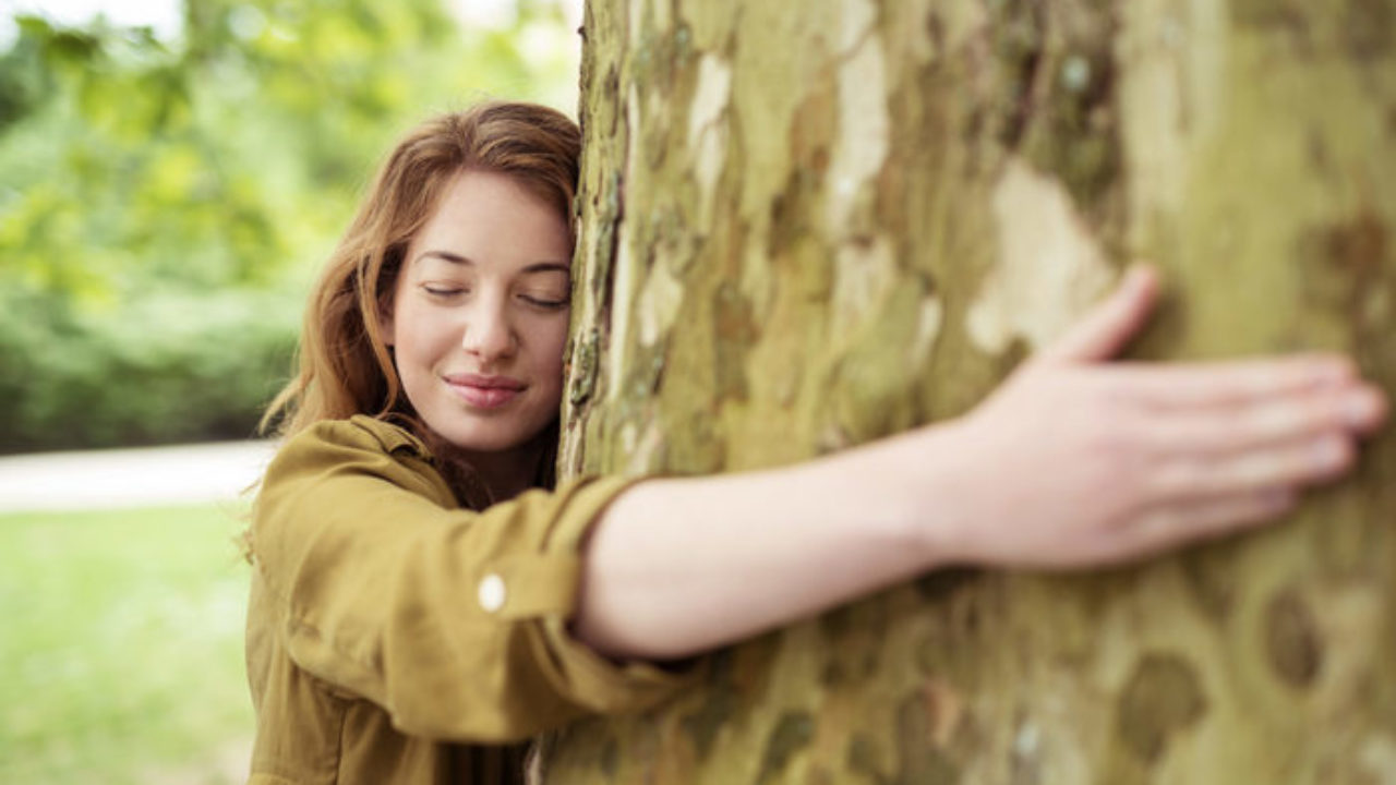 abbracciare-gli-alberi-e1544436255512-1-1280x720.jpg