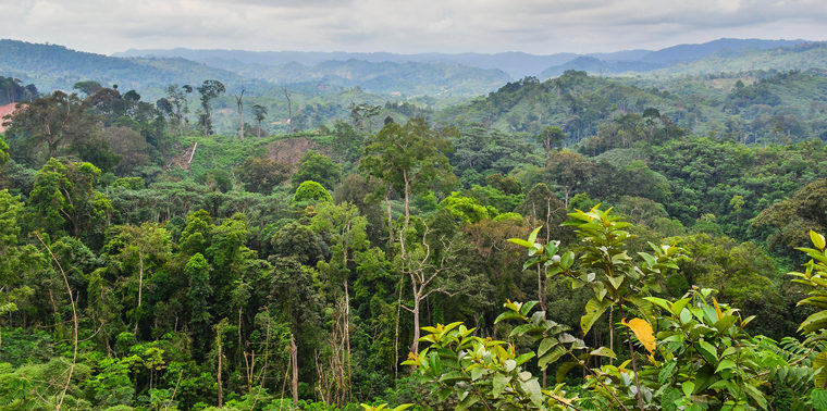 Afrika megelőzte Amazóniát a levegő tisztításában
