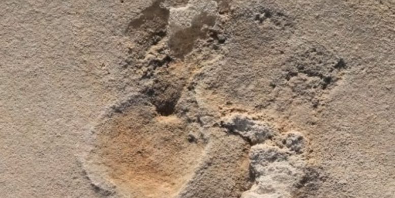5,7 millió éves emberi lábnyom Krétán