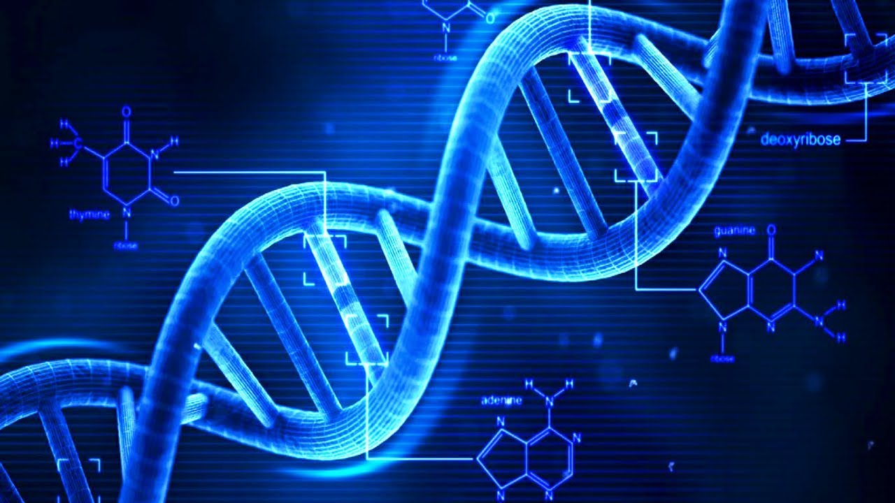 Lehet, hogy regisztrálják a DNS-ünket egy távoli rokon miatt?