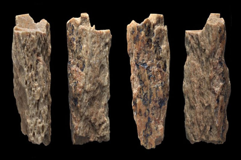 Szibériában megtalálták egy 50 ezer éves félvér lány csontját
