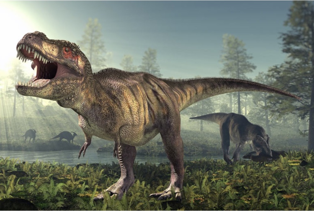 A T. Rex harapása