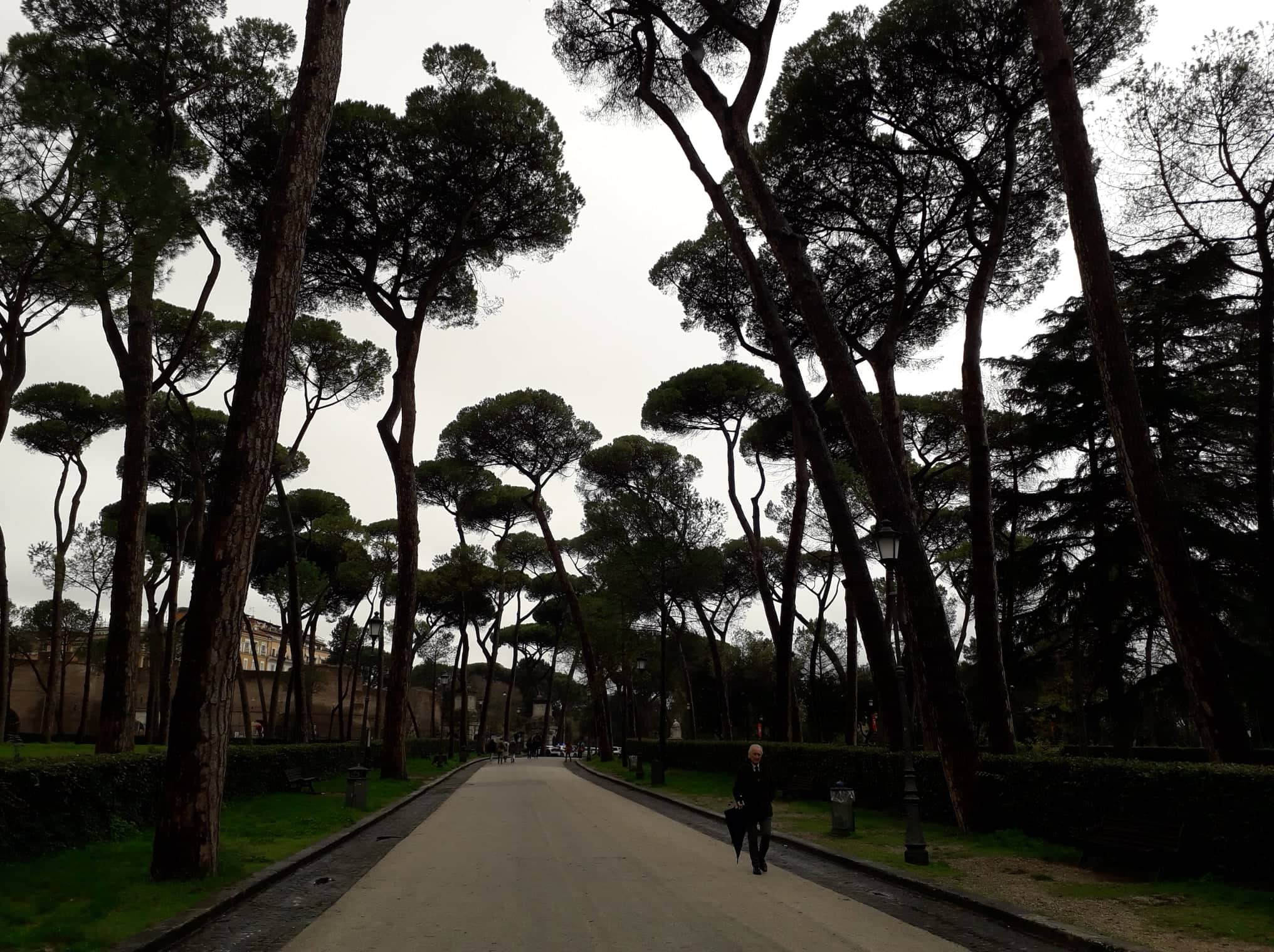 A Villa Borghese fái decemberi fényben