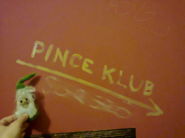 0255_pince.jpg