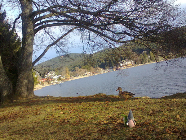 1287_titisee3.jpg