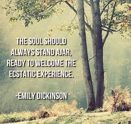 the_soul_should_always_stand_ajar_ready_to_welcome_the_ecstatic_experience_-emily_dickinson-673474.jpg