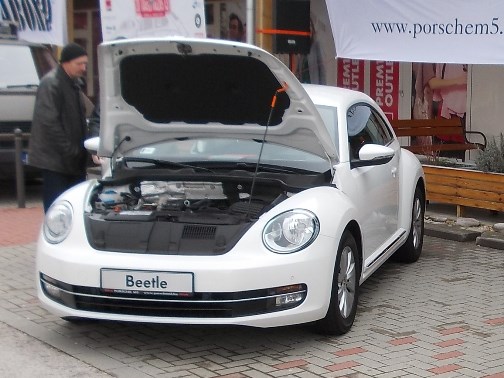 Golf 130406 Bogárrajzás Beetle.jpg