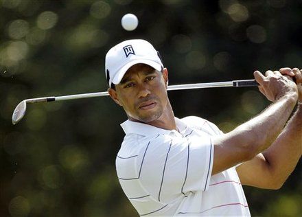 12-jun-01-tiger.jpg